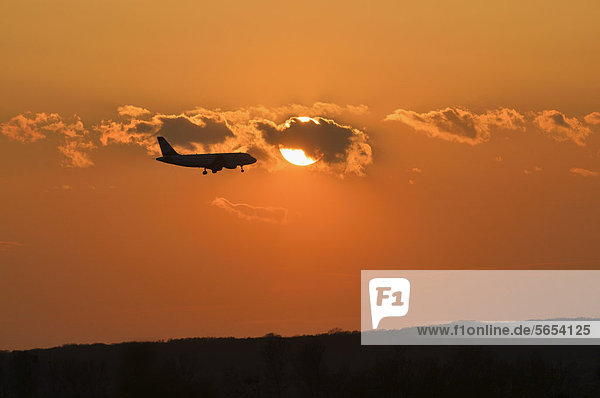 Jet  Flugzeuglandung bei Sonnenuntergang  Schwechat bei Wien  Österreich  Europa