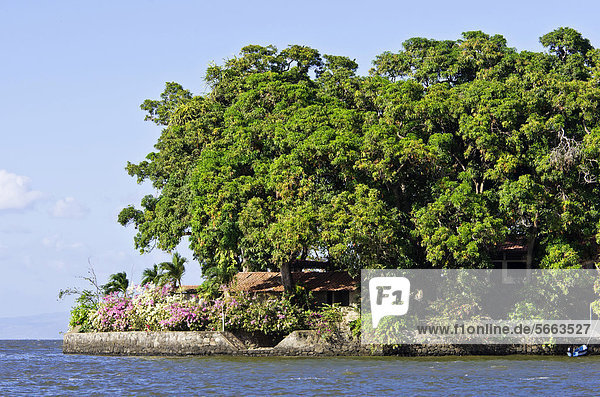 Kleine Insel mit tropischer Vegetation im Nicaragua-See  Isletas  Lago de Nicaragua  Nicaragua  Mittelamerika