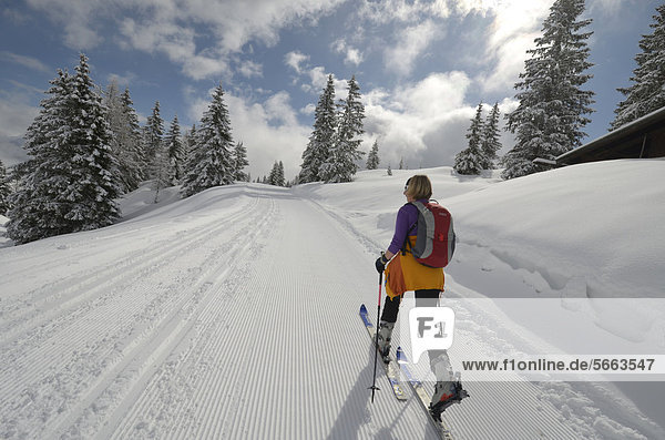 Woman with touring skis skiing next to cross-country ski run  Salzburg region  Northern Limestone Alps  Austria  Europe