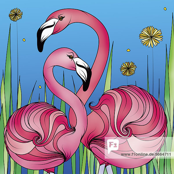 Leuchtende pinkfarbene Flamingos