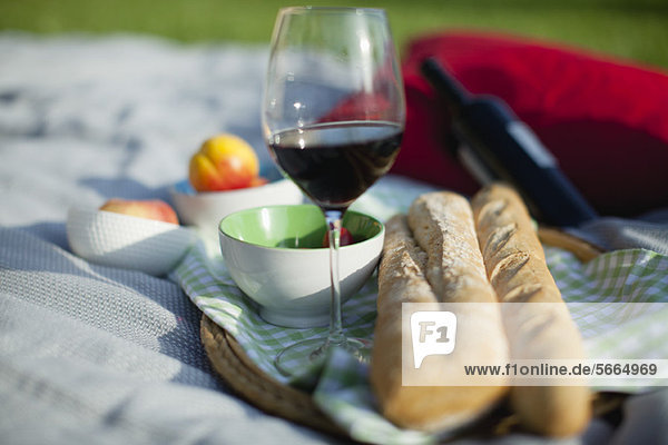 Food and wine on picnic blanket
