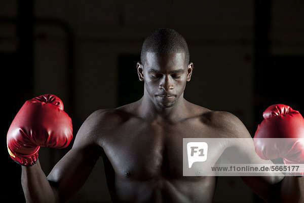 Boxer in boxing gloves with eyes closed  portrait