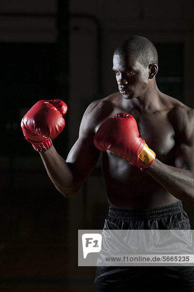 Boxer wearing boxing gloves in fighting stance  portrait