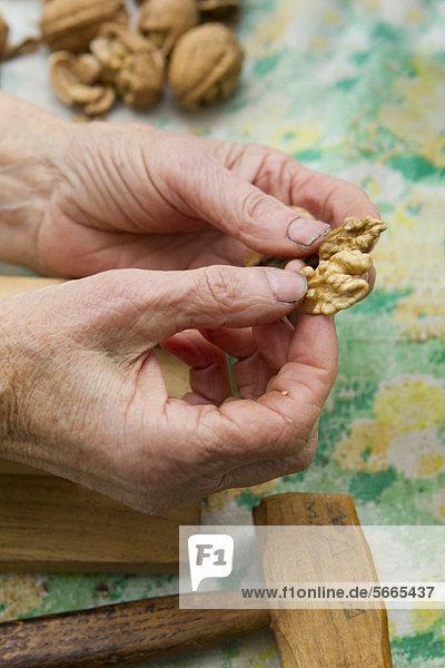 Hands holding shelled walnut