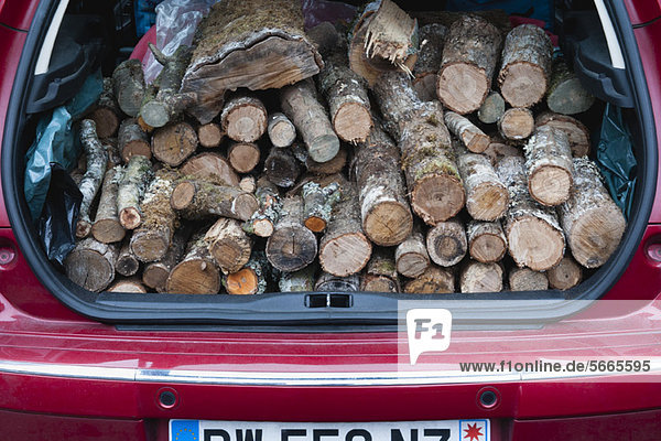 Kofferraum mit Brennholzstapel