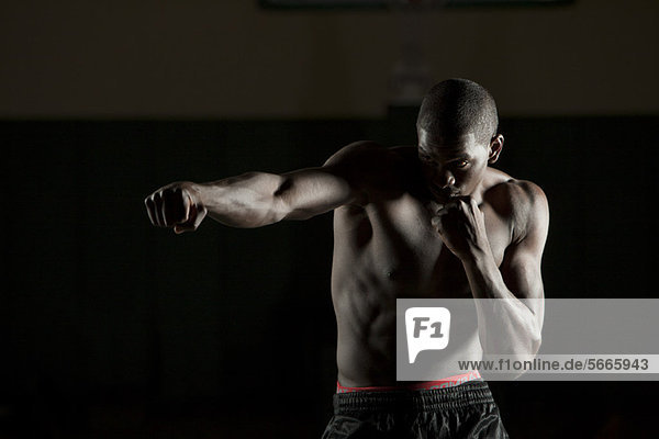 Young male athlete in boxing position,  portrait