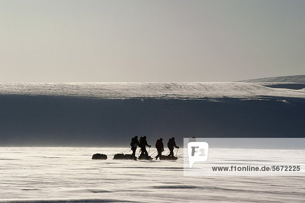 Skiwanderer mit Pulkas auf einem Gletscher  im Gegenlicht  Spitzbergen  Svalbard  Norwegen  Europa