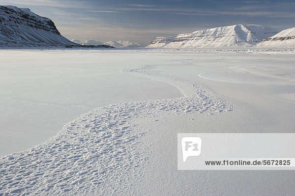 Eis des vereisten Fjordes Tempelfjorden  Spitzbergen  Svalbard  Norwegen  Europa
