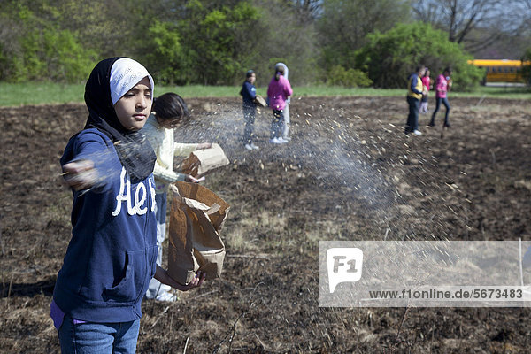 Fourth and fifth grade students from Priest Elementary School sow native plant seeds in a meadow in River Rouge Park that had been purposely burned before to eliminate invasive species and to facilitate restoration of a native prairie habitat  Detroit  Michigan  USA