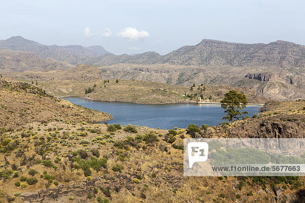 Lake El Juncal a small reservoir in the Pinar de Pajonales National Park Roque Bentaiga Gran Canaria Canary Islands Spain Europe PublicGround