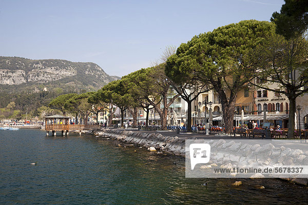 Uferpromenade von Garda  Gardasee  Lago di Garda  Venetien  Veneto  Italien  Europa  ÖffentlicherGrund