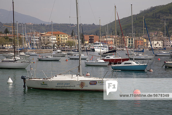Boot im Hafen von Garda  Gardasee  Lago di Garda  Venetien  Veneto  Italien  Europa  ÖffentlicherGrund