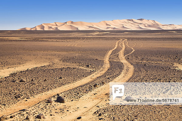 Fahrspur in der Steinwüste  Libyen  Sahara  Afrika