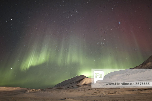 Grüne und rote Polarlichter  Nordlichter  Aurora borealis über schneebedeckter und von Zivilisationslichtern erhellter Landschaft  Longyearbyen  Spitzbergen  Svalbard  Norwegen  Europa