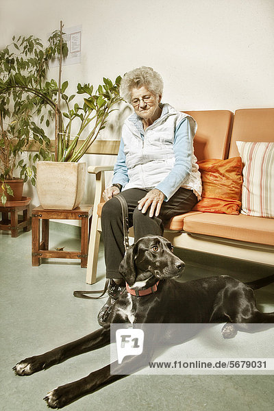 Elderly woman with a therapy dog in a nursing home