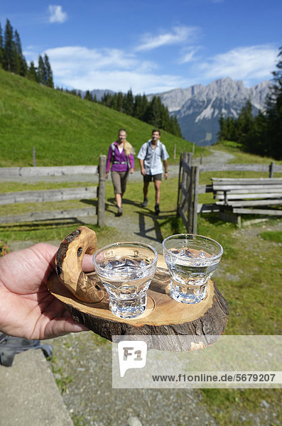 Hiking couple being welcomed with a schnapps at Blinzalm  Hartkaiser  view towards the Wilder Kaiser Mountains  Tyrol  Austria  Europe