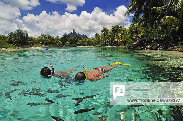 Snorkellers  St. Regis Bora Bora Resort  Bora Bora  Leeward Islands  Society Islands  French Polynesia  Pacific Ocean