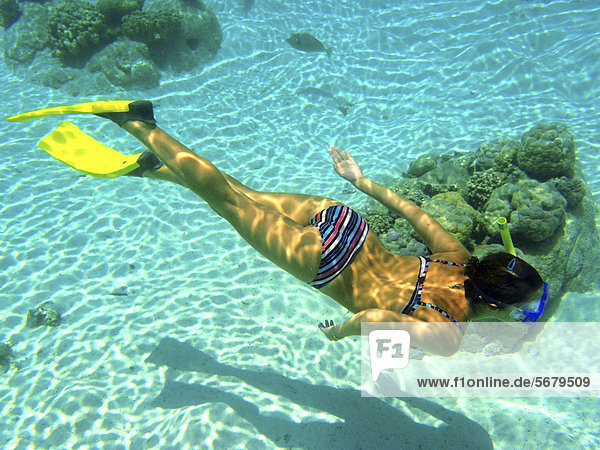 Snorkeller  Bora Bora  Leeward Islands  Society Islands  French Polynesia  Pacific Ocean