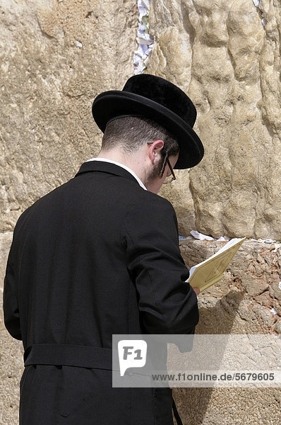 Betender orthodoxer Jude Klagemauer Jerusalem Israel Naher Osten