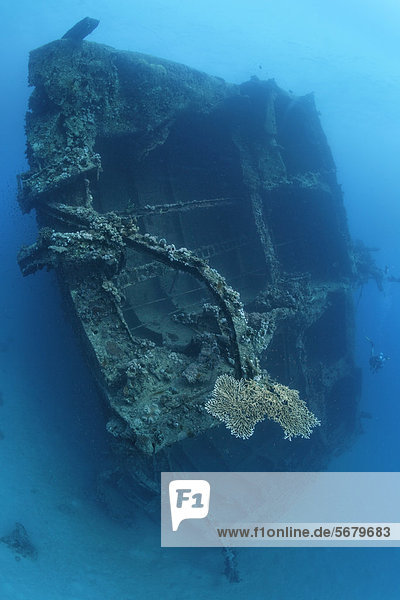 Broken shipwreck  tanker  S.S. Turbo  build 1912  sank on 4/4/1942 during World War II  hit by Italian torpedo  Diver  Abu Dias  Ras Banas  Egypt  Red Sea  Africa