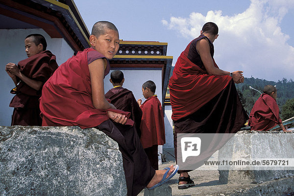 Mönche  tibetischer Buddhismus  Karma-Kagyü-Linie  Kloster Rumtek  bei Gangtok  Sikkim  indischer Himalaya  Indien  Südasien  Asien