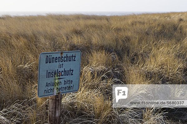 Schild Dünenschutz ist Inselschutz   Hörnum  Sylt  Schleswig-Holstein  Deutschland  Europa