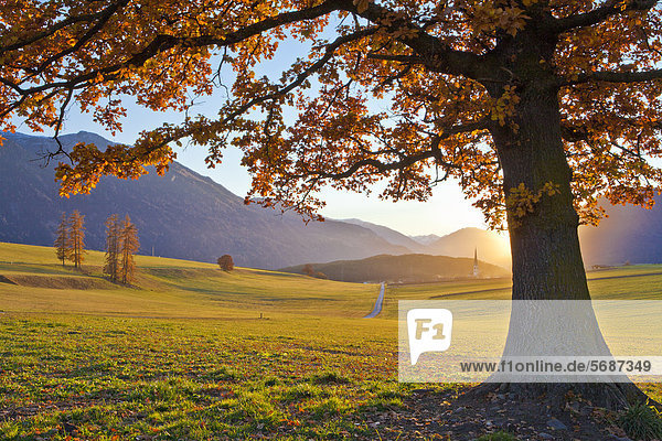 Herbstlandschaft im Sonnenuntergang  Mieming  Österreich