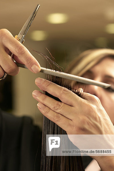 Hair Stylist Schneiden Kunden Haar