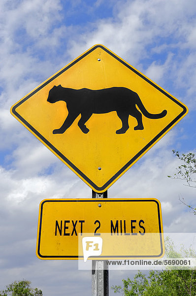 Warnschild  Pumas oder Florida-Panther queren die Fahrbahn  Everglades Nationalpark  Florida  USA