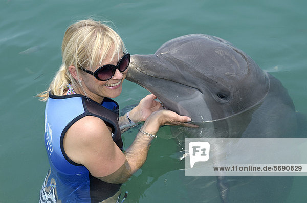 Touristin spielt mit Delfin  Großer Tümmler (Tursiops truncatus)  Delfinshow  Hawks Cay Resort  Florida Keys  USA