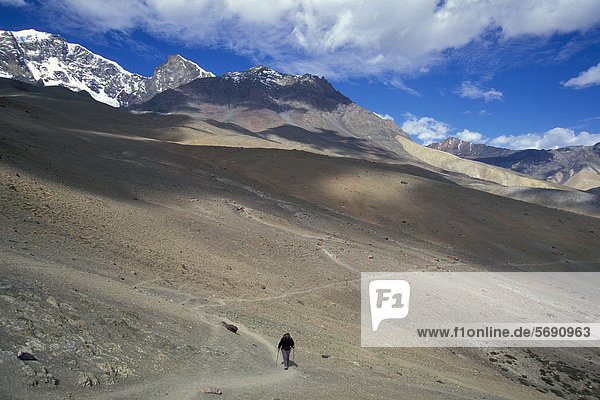 Frau wandert zum Sengge-La oder Sengge-Pass hinauf  Zanskar  Ladakh  Jammu und Kaschmir  Nordindien  Indien  indischer Himalaya  Asien