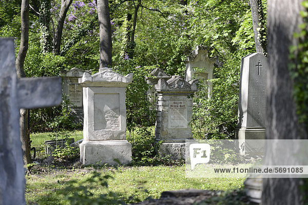 Grabsteine  St. Marxer Friedhof  Wien  Österreich  Europa
