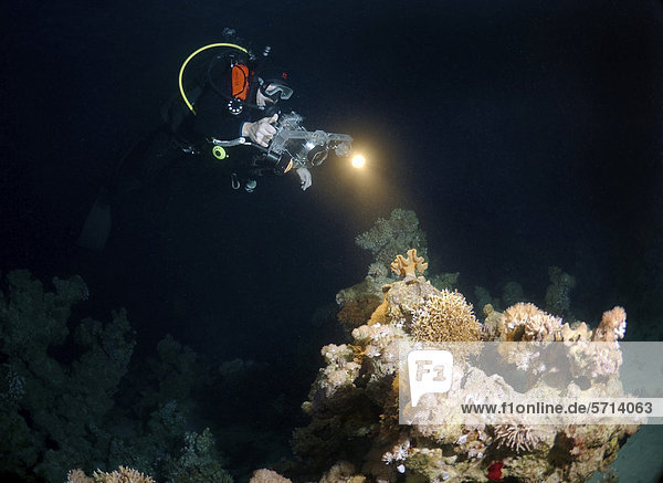 Nachttauchen,  Taucher mit Kamera an einem Korallenriff,  Rotes Meer,  Ägypten,  Afrika