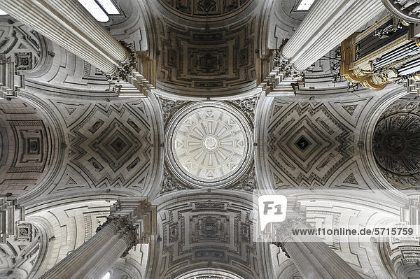Decke  Deckengewölbe  Catedral de JaÈn  Kathedrale von JaÈn aus dem 13. Jahrhundert  Renaissance  JaÈn  Andalusien  Spanien  Europa
