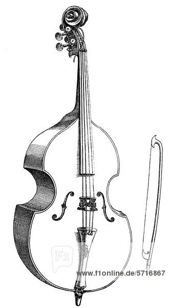 double bass instrument drawing