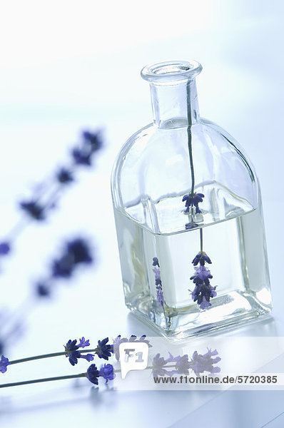 Lavendelöl in der Flasche mit Blume  Nahaufnahme
