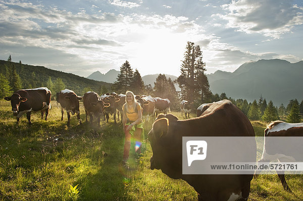 Österreich  Salzburger Land  Junge Frau beim Wandern auf der Alm mit Kühen