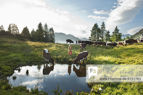 Österreich  Salzburger Land  Frau und Junge stehend auf einer Alm mit Kühen