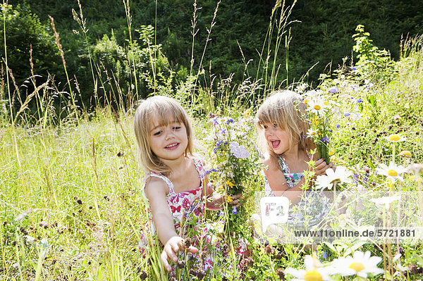 Österreich  Salzburger Land  Mädchen pflücken Blumen auf der Sommerwiese