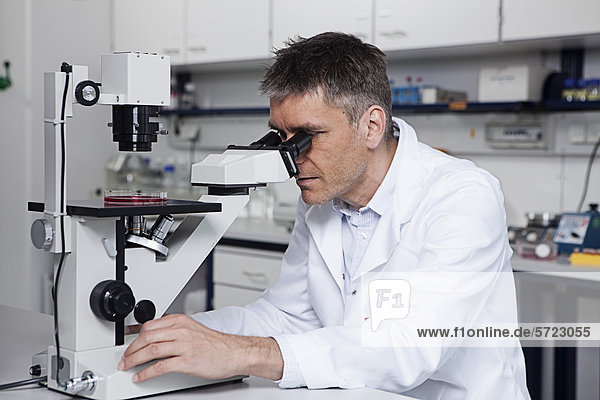 Deutschland  Bayern  München  Wissenschaftler mit Mikroskop im Labor