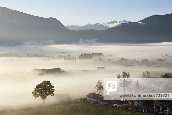 Deutschland  Bayern  Kleinweil  Blick auf das Dorf im Nebel