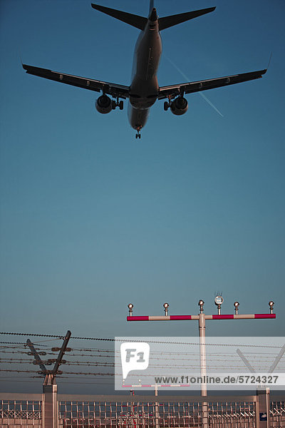 Germany  Frankfurt  Aeroplane landing on airport