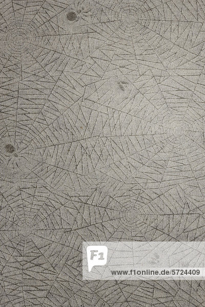 Hintergrund des Spinnennetzdesigns auf Seidenpapier