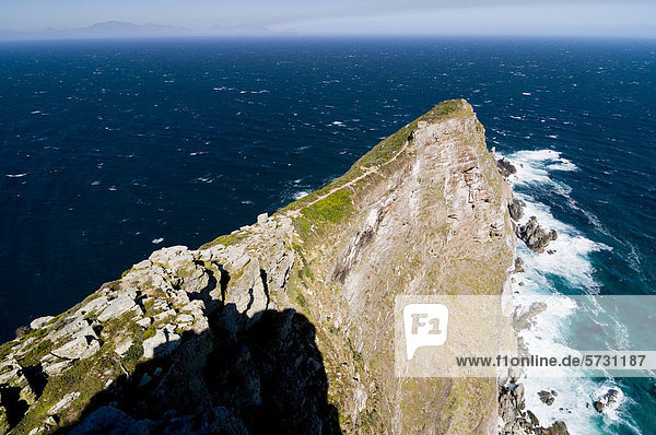 Cape Point  Kap der Guten Hoffnung Nationalpark  Westkap  Südafrika  Afrika