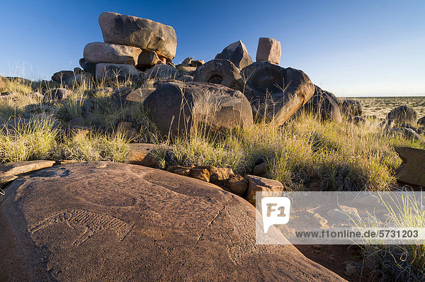Petroglyphen der Buschmänner oder San  bei Kenhardt  Nordkap  Südafrika  Afrika