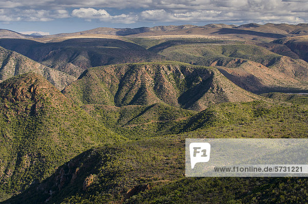 Berglandschaft  Baviaanskloof  Ostkap  Südafrika  Afrika