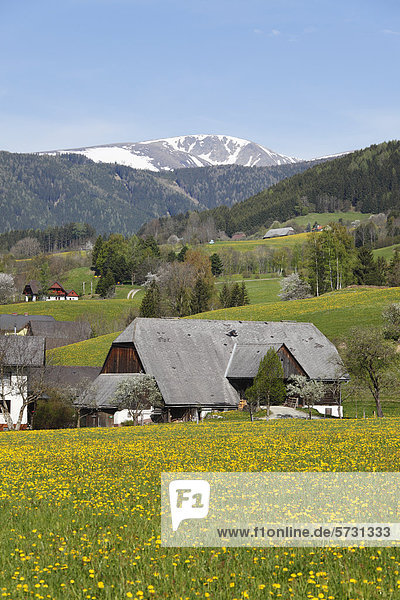 Puchschachen near Knittelfeld  Upper Styria  Styria  Austria  Europe  PublicGround