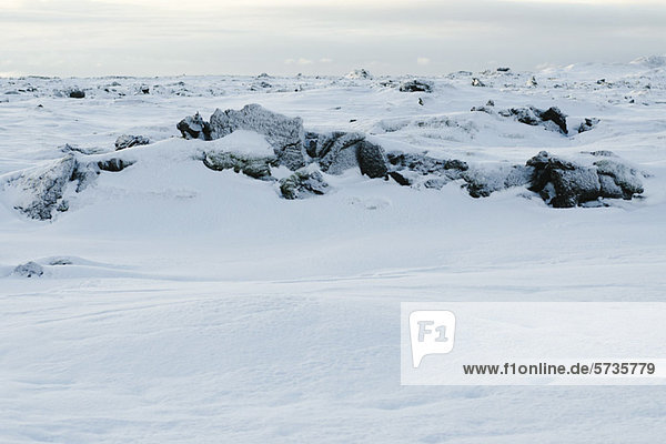 Vulkangestein mit Schnee bedeckt  Halbinsel Reykjanes  Island