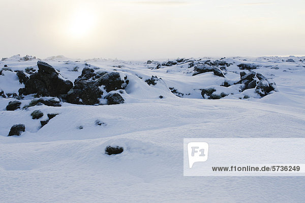 Vulkangestein mit Schnee bedeckt Halbinsel Reykjanes Island
