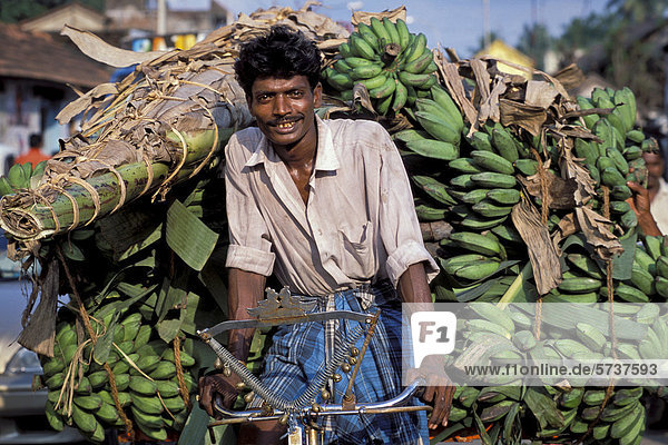 Rikscha-Fahrer transportiert Bananen  Bananenstauden Kumbakonam  Tamil Nadu  Südindien  Indien  Asien